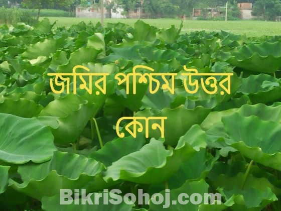 কৃষি / অকৃষি